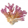 Life Impulse® Calciu Coral